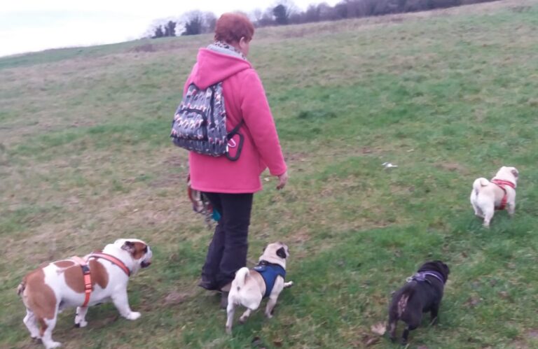 1427 c157a8ddcba3213d3169cbaa9b2ad3dc 1 768x499