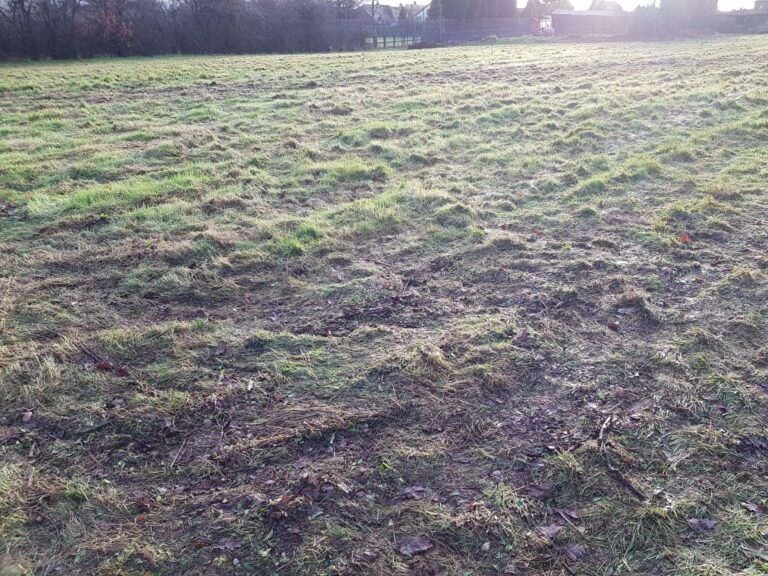 1430 7152f8700063284dcce5437eec835a40 1 768x576