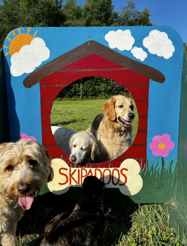 1433 10a2fe3759260e600667a4a71b713d15 1 768x1007