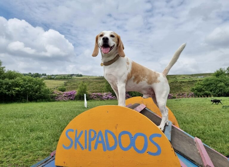 1433 196cb6cf1a55161408d8885ff275a580 1 768x561