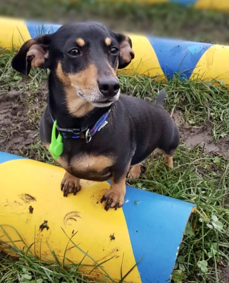 1433 2056601dc41f64dec74a65350c102142 1 768x947