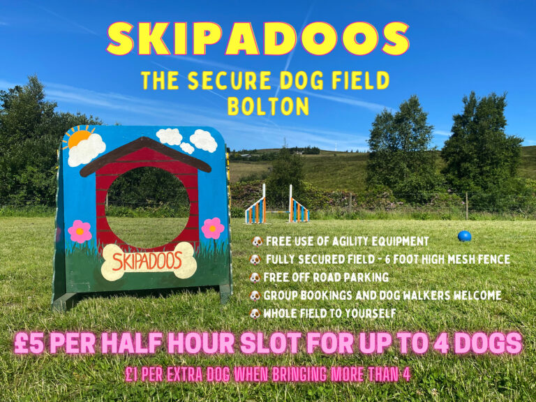 1433 74abbfc9c90ba15dfe95741192c32fd7 1 768x576