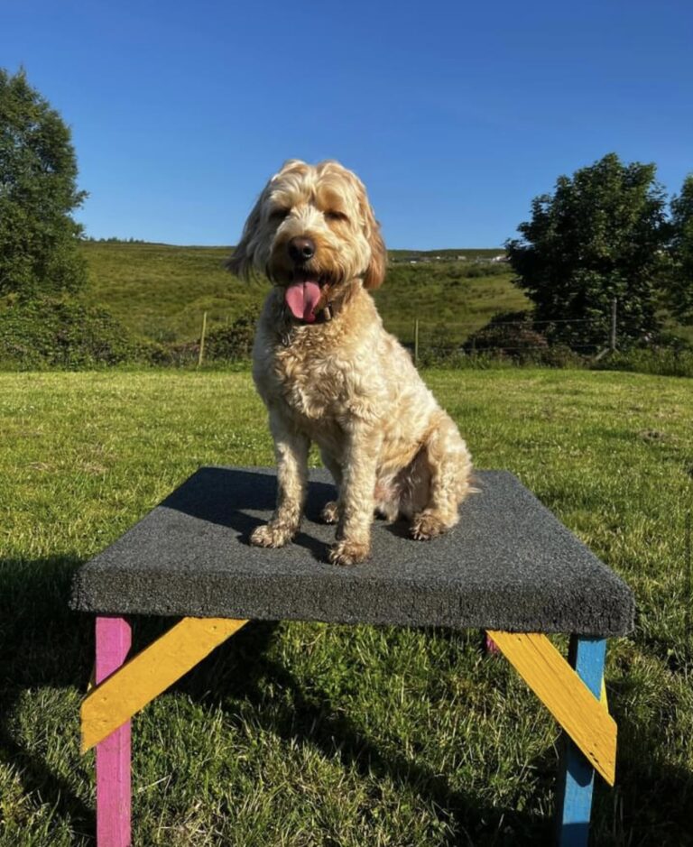 1433 d2b8fa687006b9cfe4550e4854356f44 1 768x939