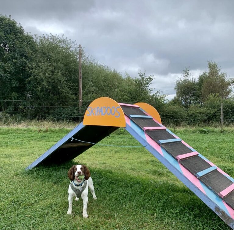 1433 f317600a55e4a69b9b99883828c9664b 1 768x756