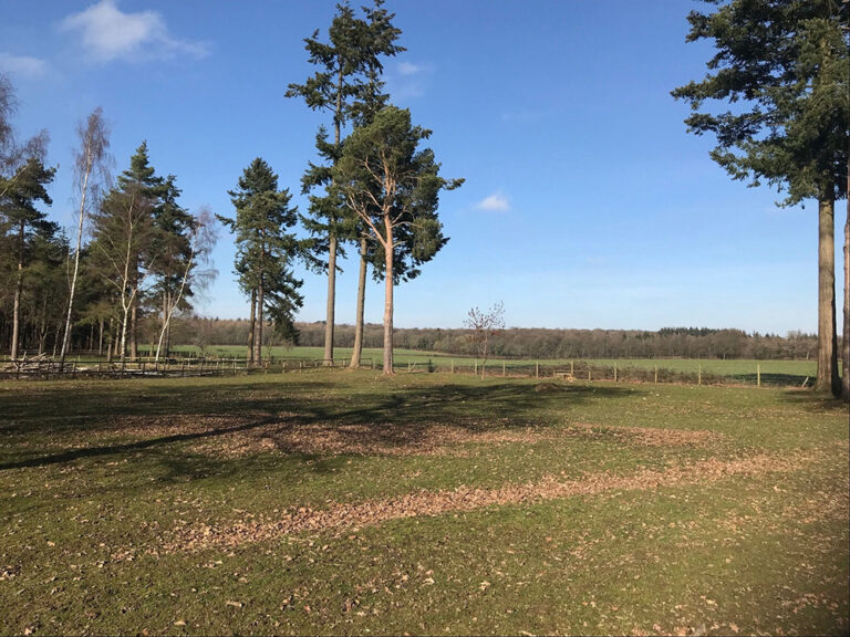 1453 550ada47cc0d069c7db11ea46ce321be 1 768x576