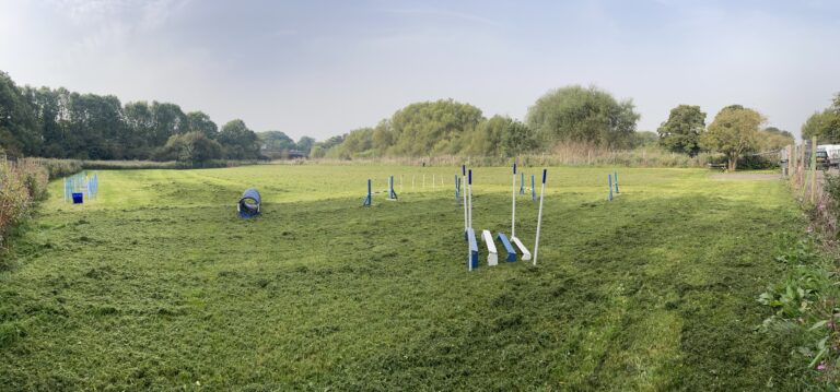 1468 402ba63f5efcf5b0768b9ab7a0d7224f 1 768x359