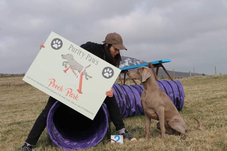 1471 ae3438db98ba765399385059751028a1 1 768x511