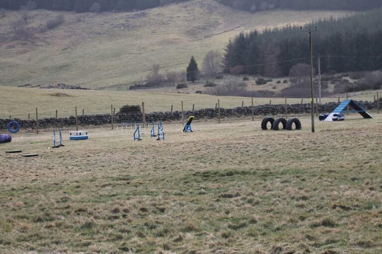 1471 edb8a16318cbbffc57471f5784b39195 1 768x511