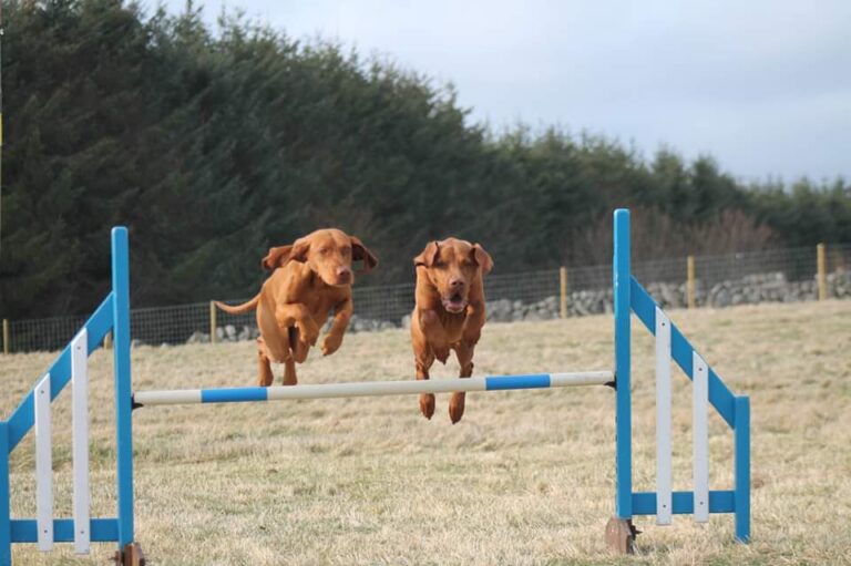 1471 ff087caaa2512d3c1b317a9905ce6507 1 768x511