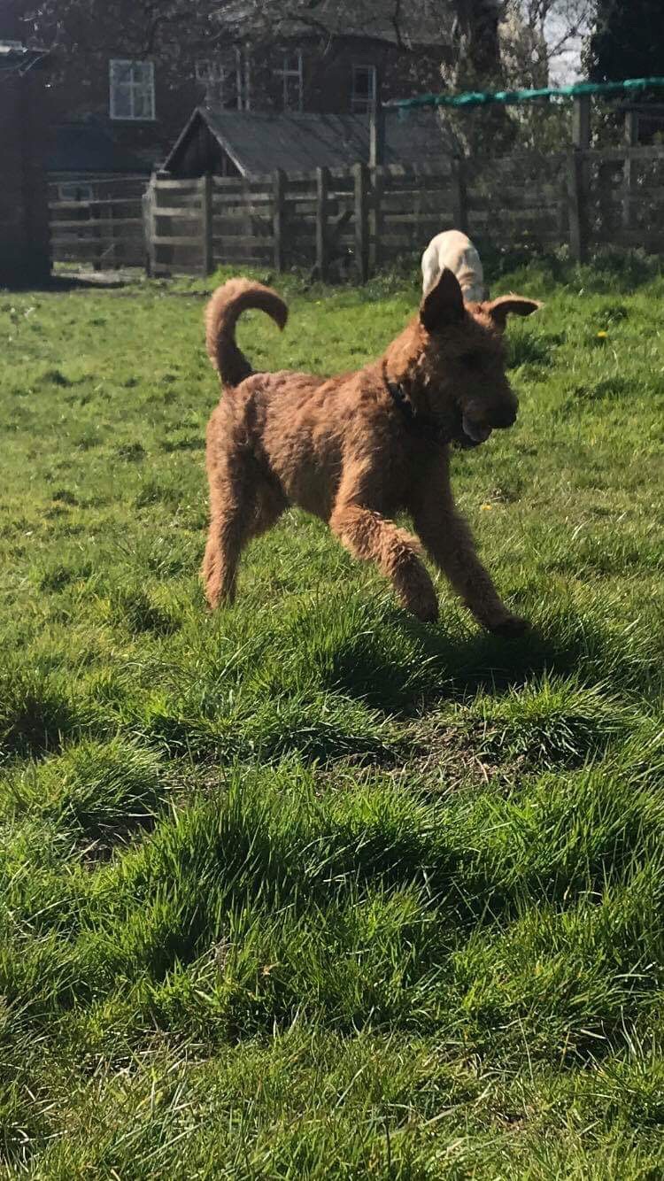 1476 55c0d539c7fb95c7d94b7e8e3d41b4a5 1