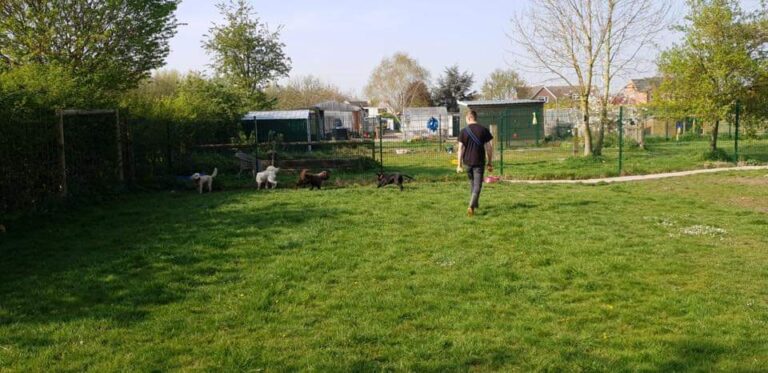 1478 d0d3e80a15bce2c729a6ffaa79d3336e 1 768x373