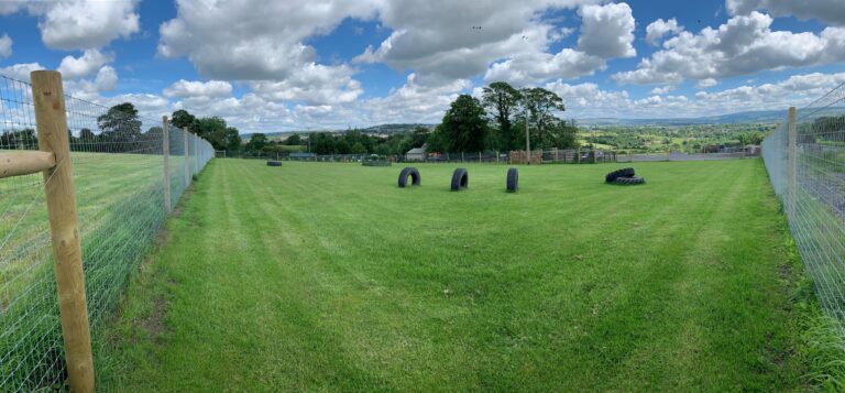 1509 36eb182b7430964c6d1eef8a80344f40 1 768x357