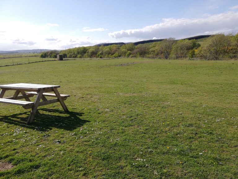 1533 fd1d04e0ad8da993294df9435f3c507e 1 768x576