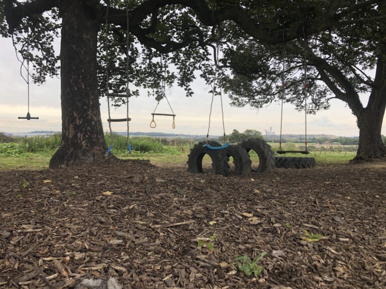 1534 2e49ef9750f46f5de2d3a30ce4b26c76 1 768x576