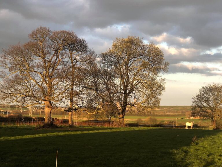 1534 33442c18bc9af9a90b12fb970631cf0a 1 768x576