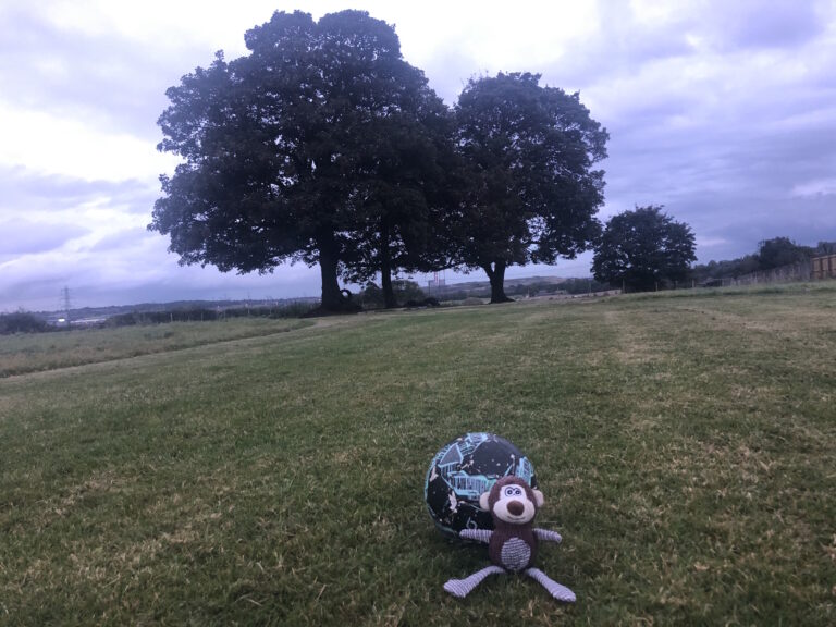 1534 f9a429bd44dbaae5240d7a6180c19ca3 1 768x576