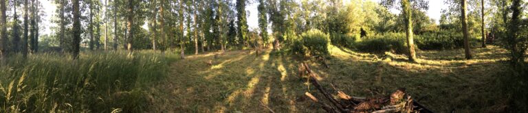 1569 b74f508f8069286f157ecb02e2636559 1 768x165