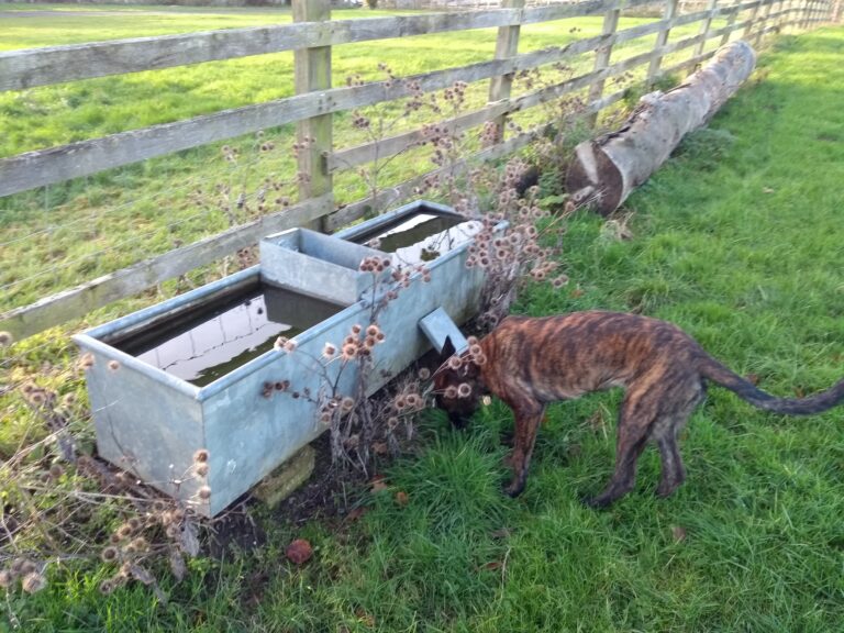 1570 ce059c2348685ae7c6af417d42787aaf 1 768x576