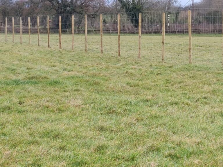 1577 5be45bae8b959b4adf528fd9fee80b62 1 768x576