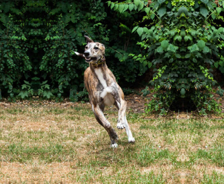 1577 757adc936d75cc8c673bb140c42ac3de 1 768x632