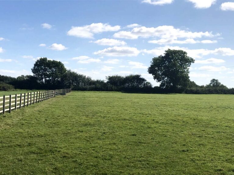 1577 cfffed20a4e8faf13a69787b350c98fc 1 768x576