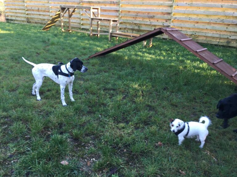 1594 c9f6c21a145623785b49da24f99a10ac 1 768x576