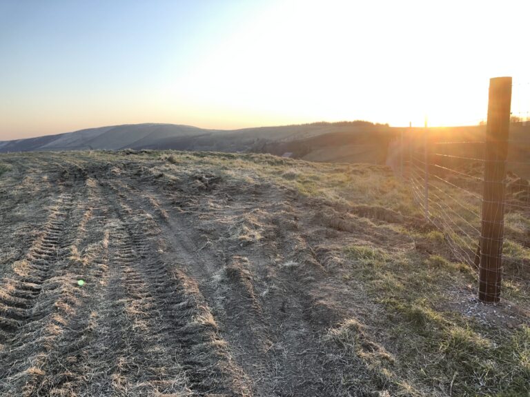 1600 11ee351b6aa00b9697c7ec4ff290b16d 1 768x576