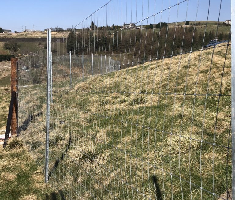 1600 1db4a3d349276425dae1af4dd5aed567 1 768x653