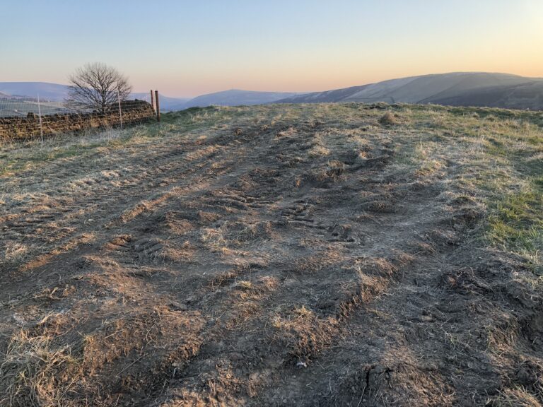 1600 2129454bea1bd660aa8cfdf71bbd8496 1 768x576