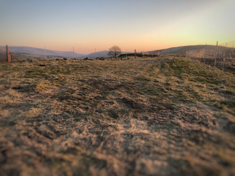 1600 6ee56485d26d9925f31047924e6d9e39 1 768x576