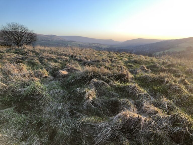 1600 7d3166da631c883a51eb372c989d46b2 1 768x576