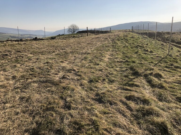 1600 9e0d0b918bc9fbfcd401d41de8133803 1 768x576