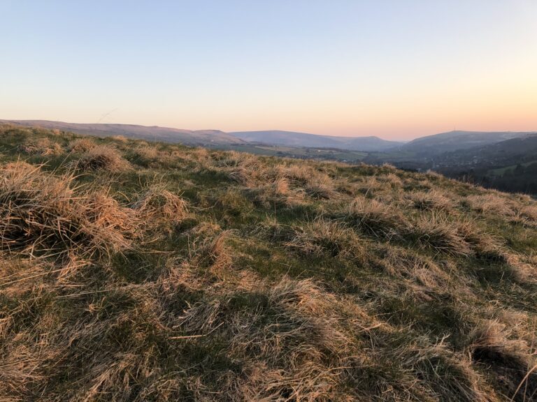 1600 ef250d57891ded55cff32f462dd4fbe7 1 768x576