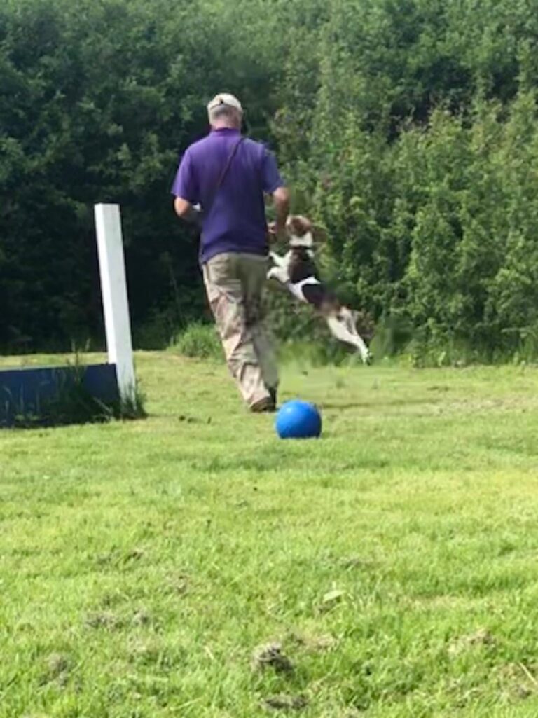 1601 57b9588c9bd0d68b93b5a908ec322fb7 1 768x1025