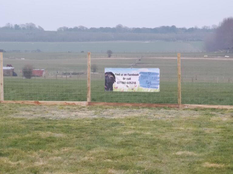 1603 2eb73462091abf068b68e27334920116 1 768x576