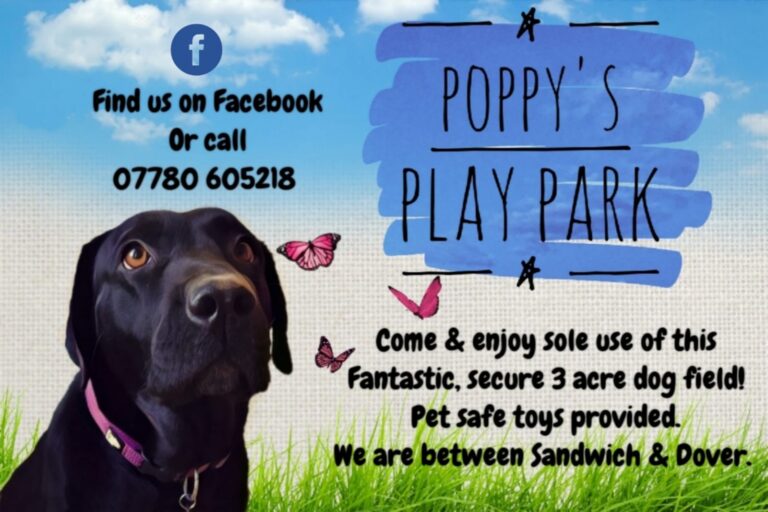 1603 b6b79989c25551bd22c930b086283d81 1 768x512