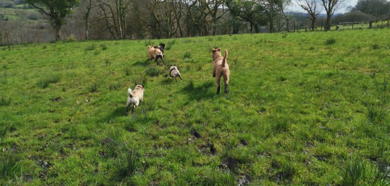 1605 ad0a0ee88e59d8c84fe0fc9d454e0406 1 768x367