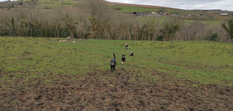 1605 e07891494d752ca471df0c03d926ae87 1 768x367