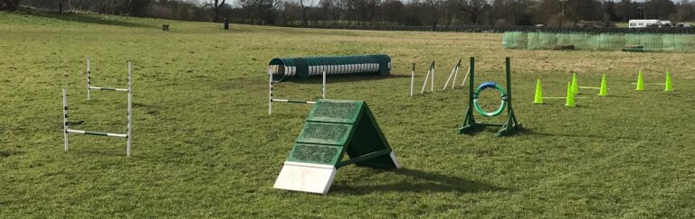 1611 0f2cd1f5ae32afe88749ef85c9313a4a 1 768x243