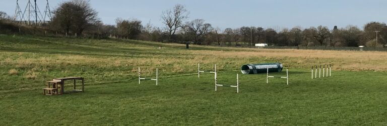 1611 475900fd0d9523280f129fffa0fd4968 1 768x251