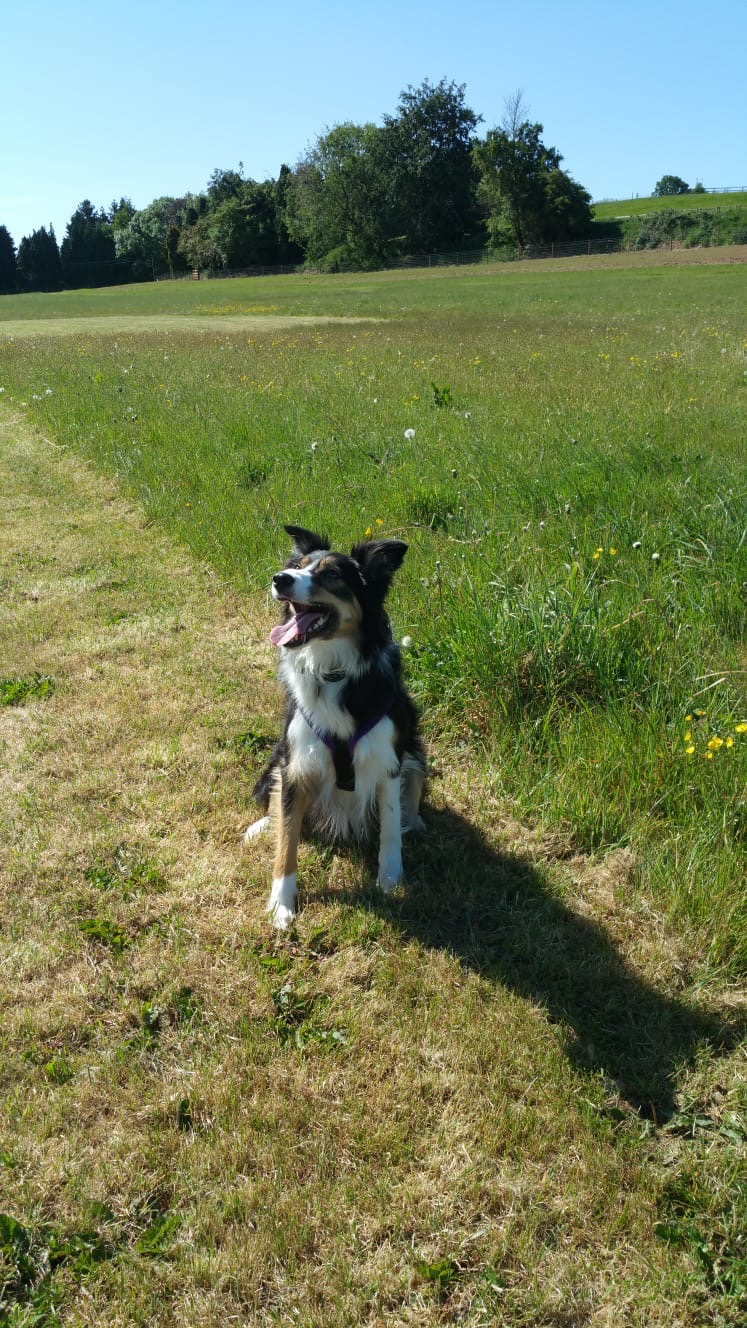 1611 90d768757ea633fd640cadeb0e53011f 1