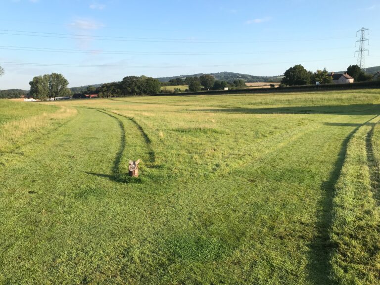 1611 bbb05210a47002d7409fc8ba18263133 1 768x576