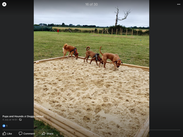 1619 c20ef99738ffba9542bf8f4f1d8f2c4d 1 768x576