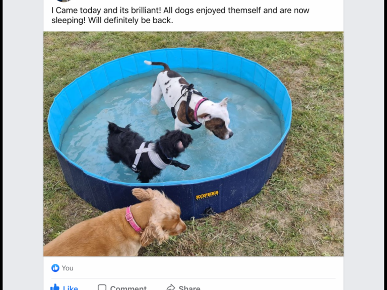 1619 dd38ce8f99c813ee2931e854233f0d99 1 768x576