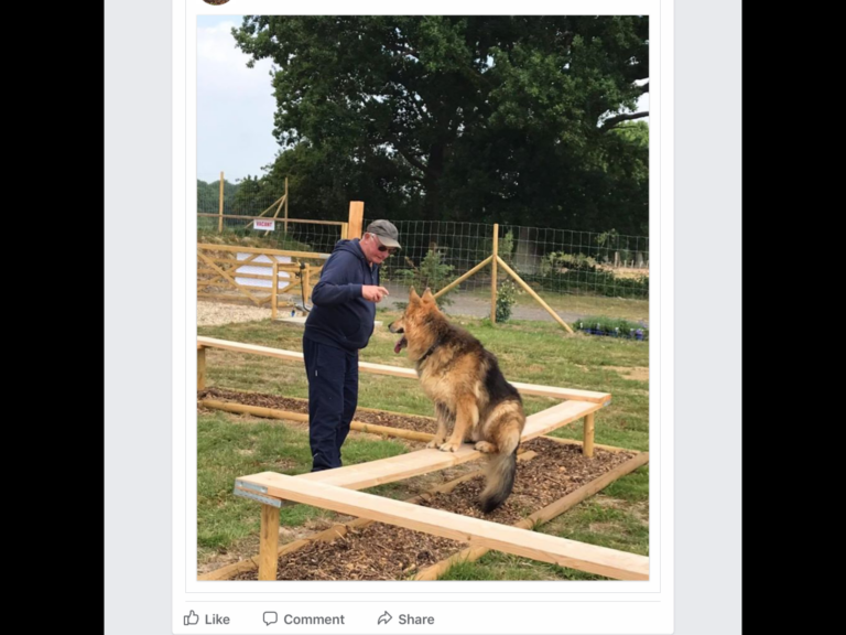 1619 fe416a3f08c065795eec567ec5923bf6 1 768x576