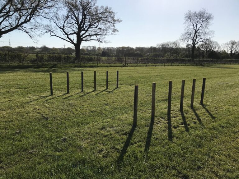 1629 13e41f7e46e064fedb0137409e45943f 1 768x576