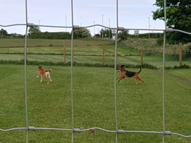 1633 e4cefa0e48b5b4561a07e9aa34201209 1 768x576