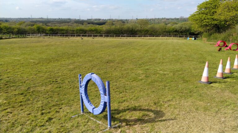 1635 63140180335bc5d684a39656d1678ea7 1 768x432