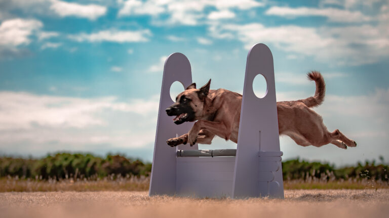 1642 126b35a9f9eb351e4ad746ea7a0f9180 1 768x432