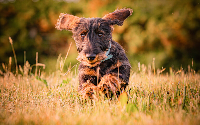 1642 14765f32a7d6951574c0f5db658f7416 1 768x480